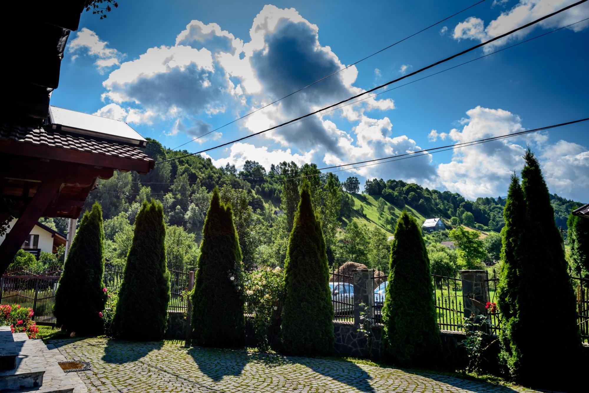 Bradutul De La Munte Bran (Brasov) Exterior foto